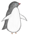 penguin